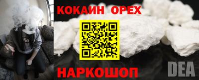 спиды Заводоуковск