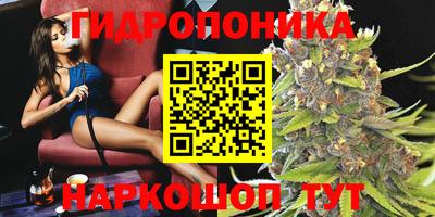 спиды Заводоуковск