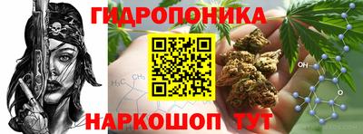 спиды Заводоуковск