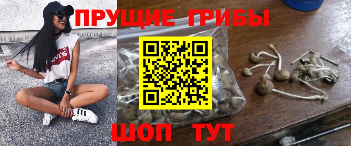 Псилоцибиновые грибы Magic Shrooms  Вход с VPN  Миллерово  Псилоцибиновые грибы Magic Shrooms 