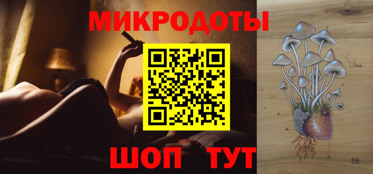 Галлюциногенные грибы Cubensis Миллерово
